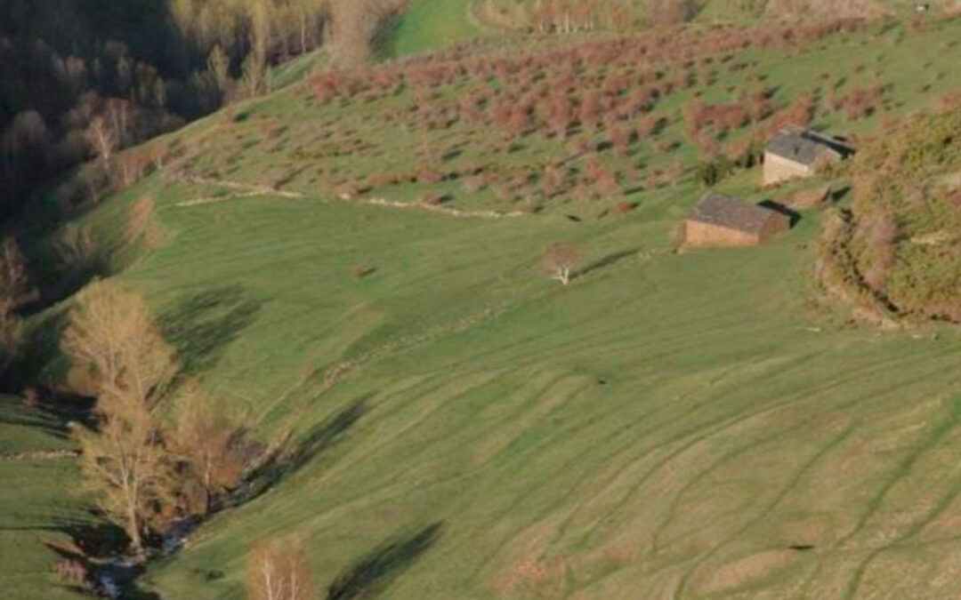 18è curs de camp d’estudi d’evolució del paisatge