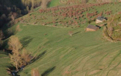 18è curs de camp d’estudi d’evolució del paisatge