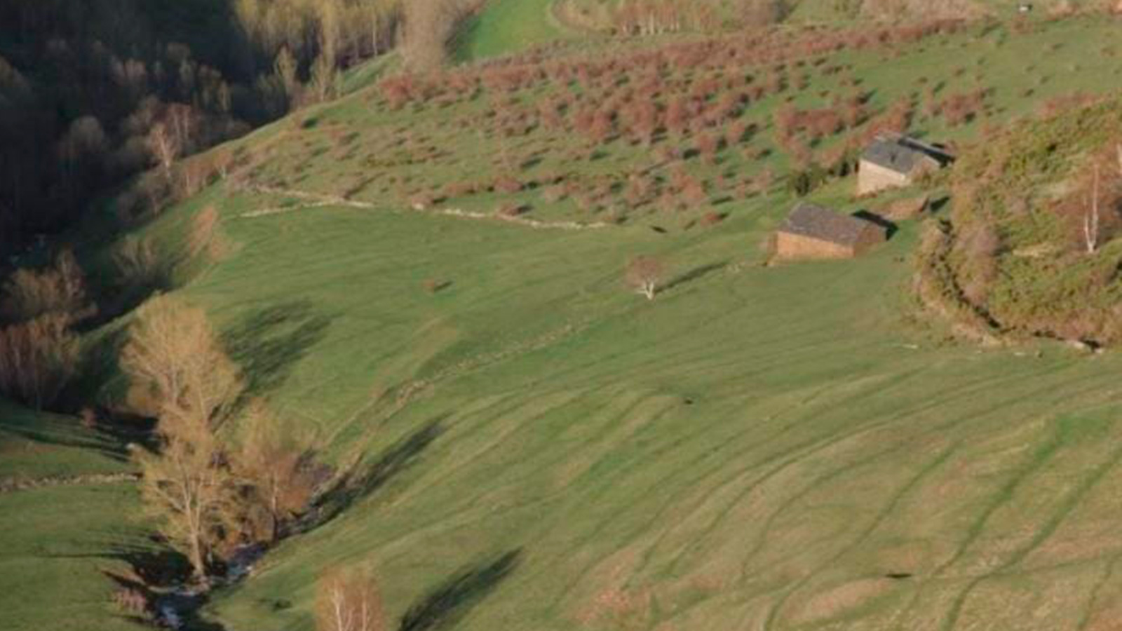 Curs Evolució paisatge