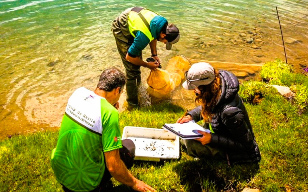 Xerrada sobre la Rotenona als Tres Estanys