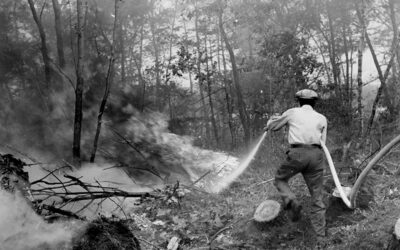 La interacció entre els humans i el foc en un món canviant