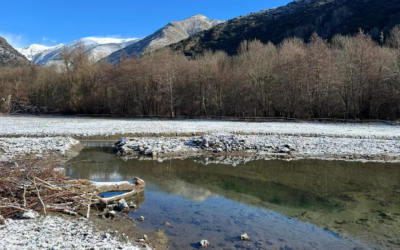 Obres de restauració ambiental del Pla de Salito
