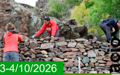 Curs de pedra seca aplicat a una llobatera